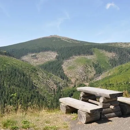 ホテル Horsky Javor 3*